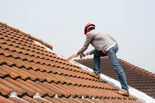 Best Roof Installation  in Elsberry, MO