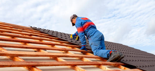 Best Roof Maintenance and Cleaning  in Elsberry, MO